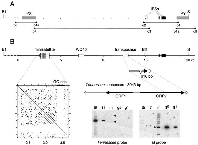 FIG. 3.