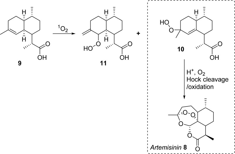 Scheme 5