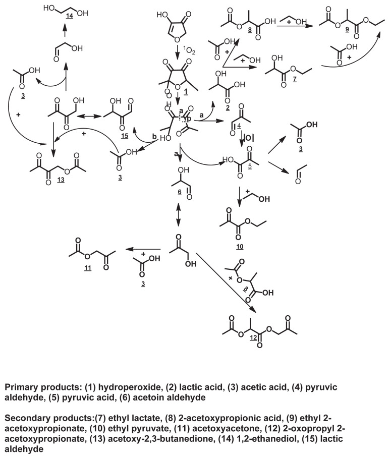 Fig. 5