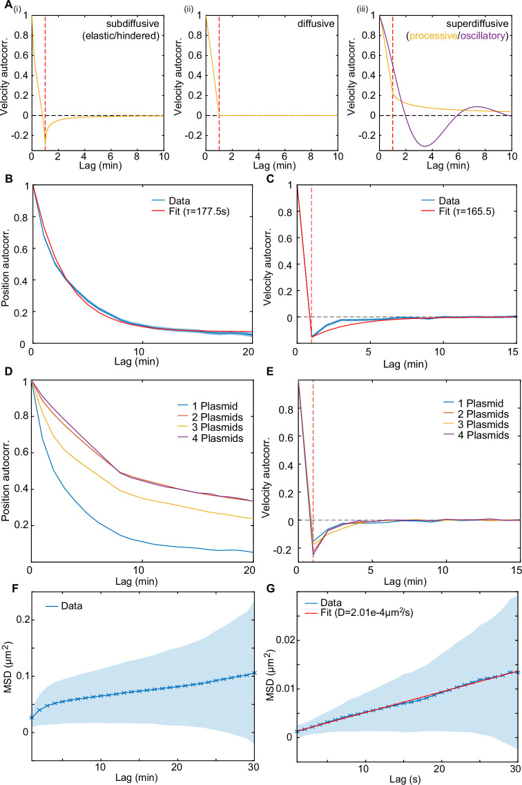 Figure 1—figure supplement 2.