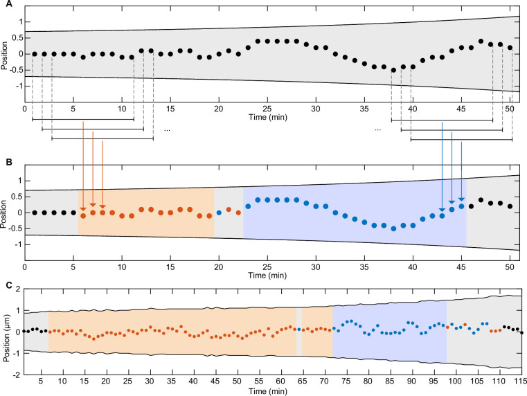 Figure 6—figure supplement 1.