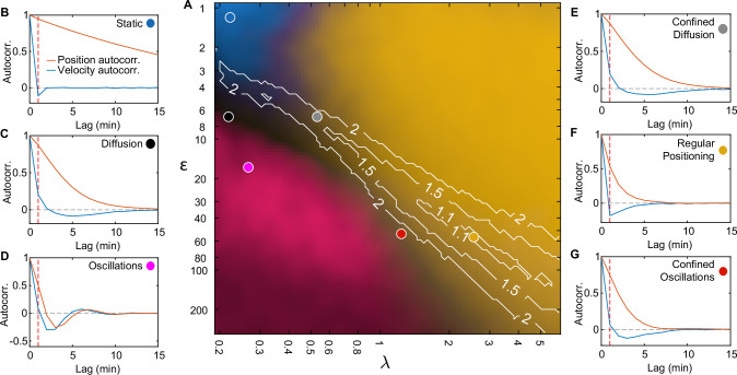 Figure 3—figure supplement 1.