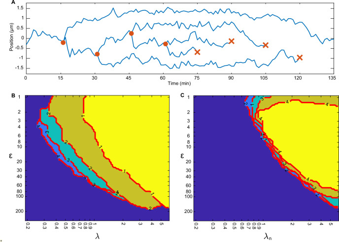 Figure 5—figure supplement 1.