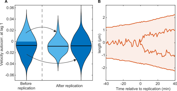 Figure 6—figure supplement 2.