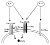 Fig. 3