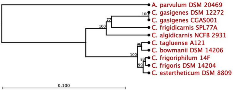 FIGURE 1