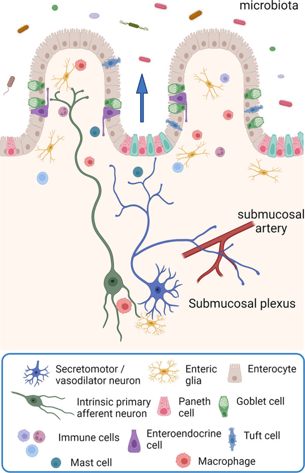 Figure 3.