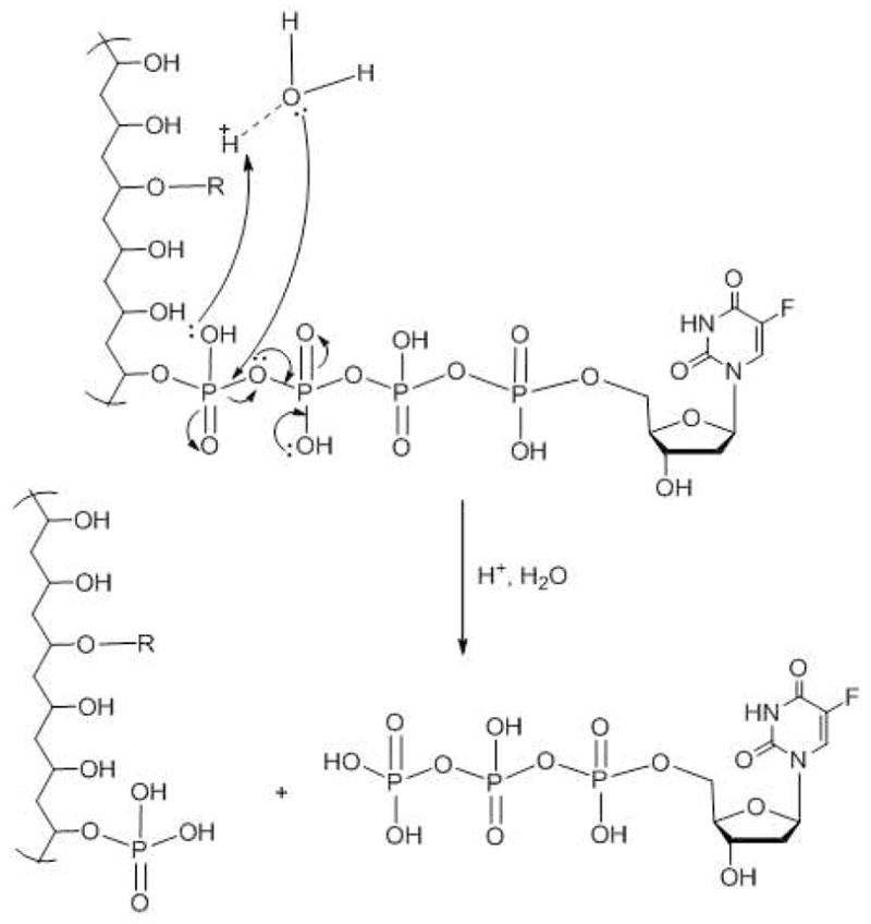 Scheme 3