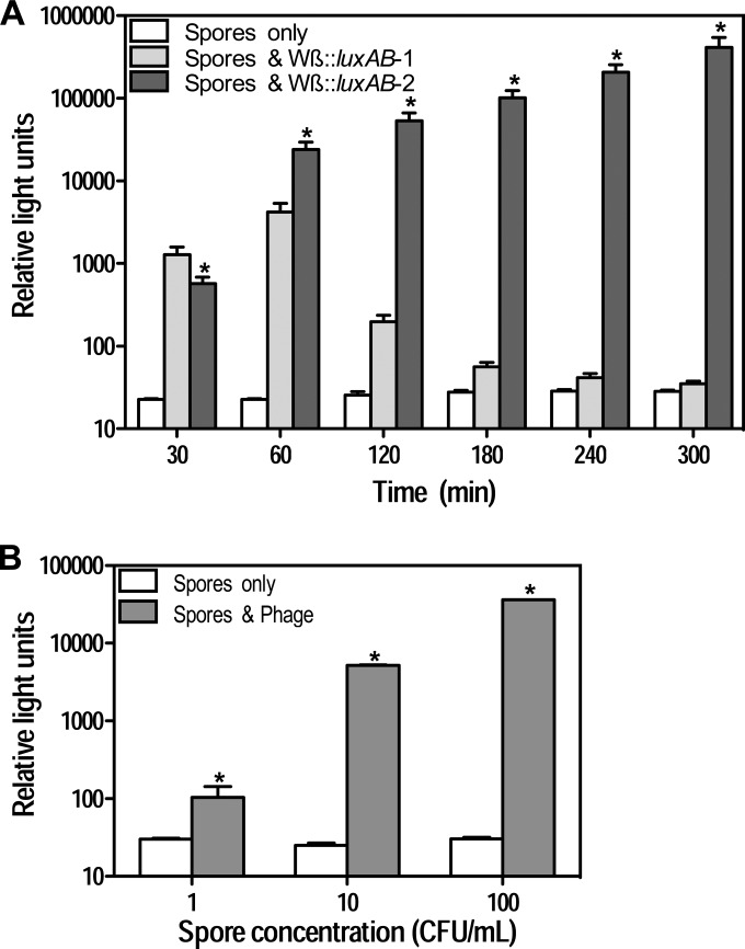 FIG 2