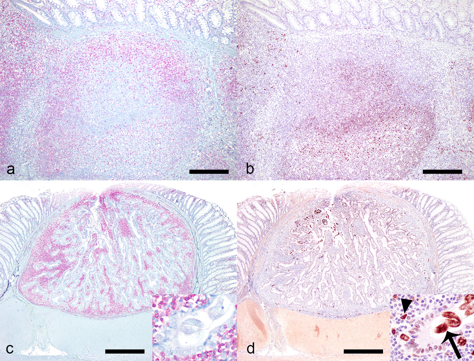 Fig. 6