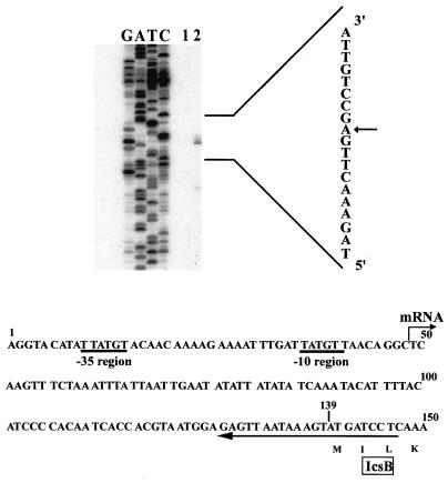 FIG. 1.