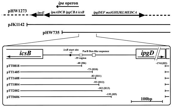 FIG. 2.