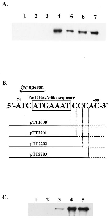 FIG. 3.