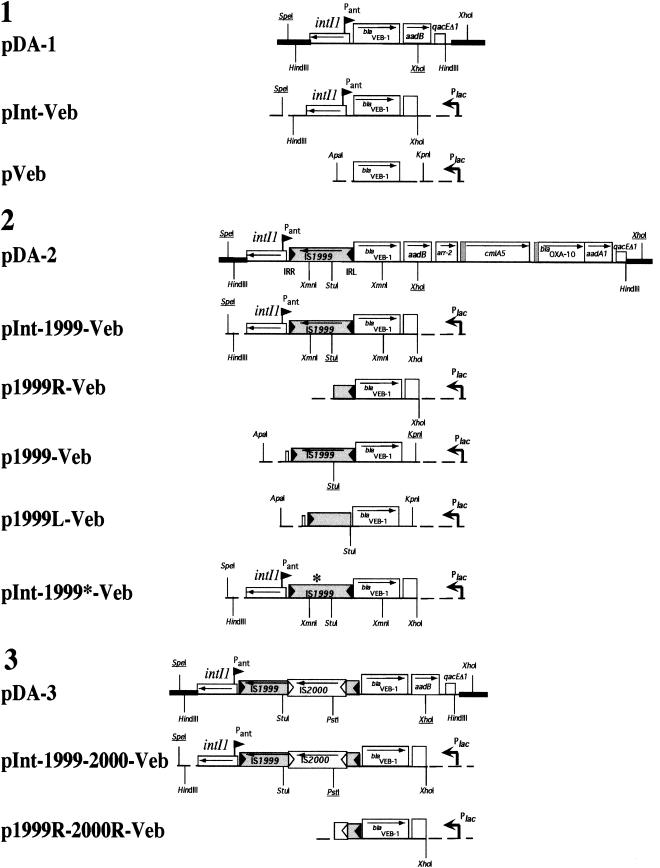 FIG.1.