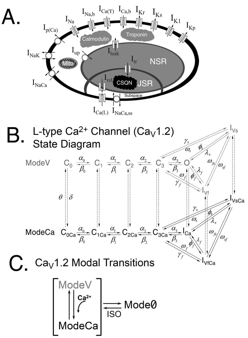 FIGURE 1