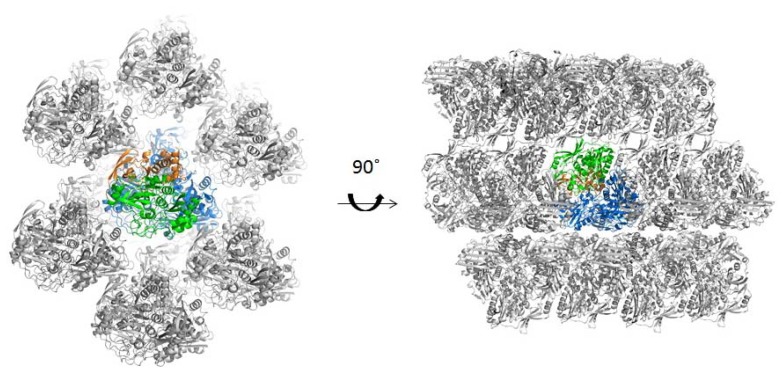 Figure 2.