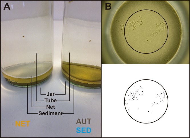 FIG 1