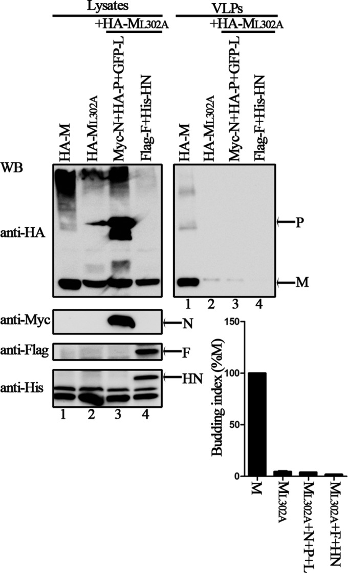 FIG 9