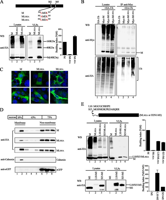 FIG 6