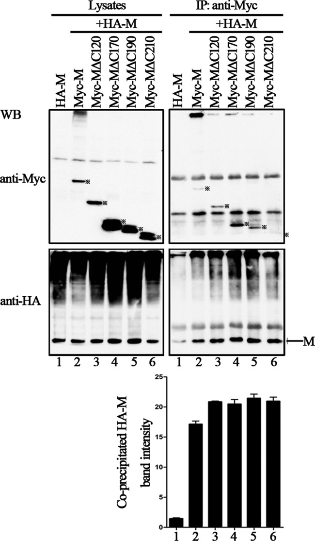 FIG 3