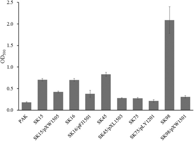 FIGURE 5