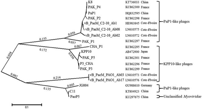 FIGURE 9