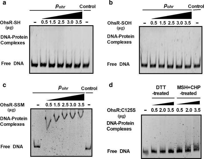 Fig. 7