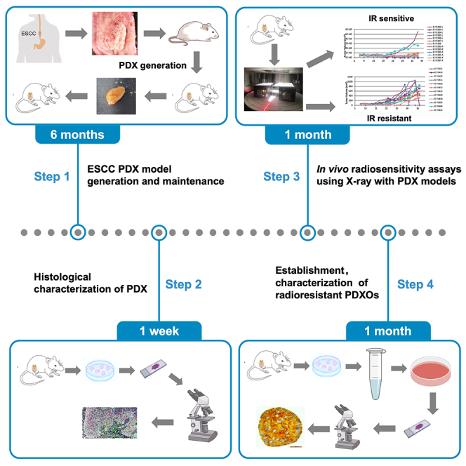 graphic file with name fx1.jpg