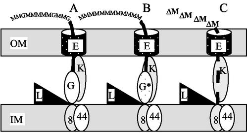 FIG. 5.