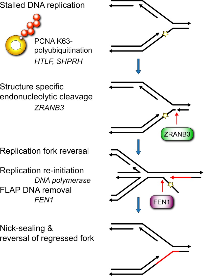 Figure 6.