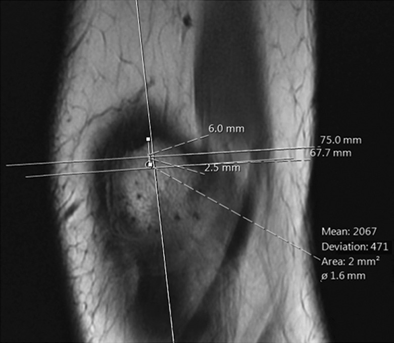 Figure 2.