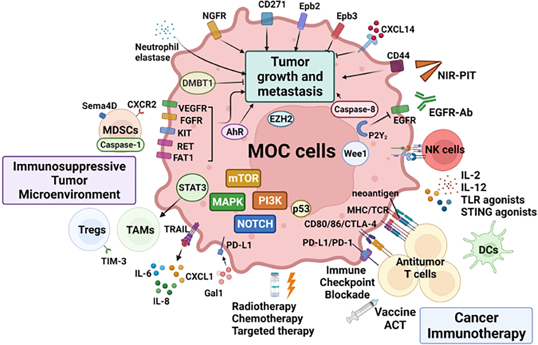 Figure 2: