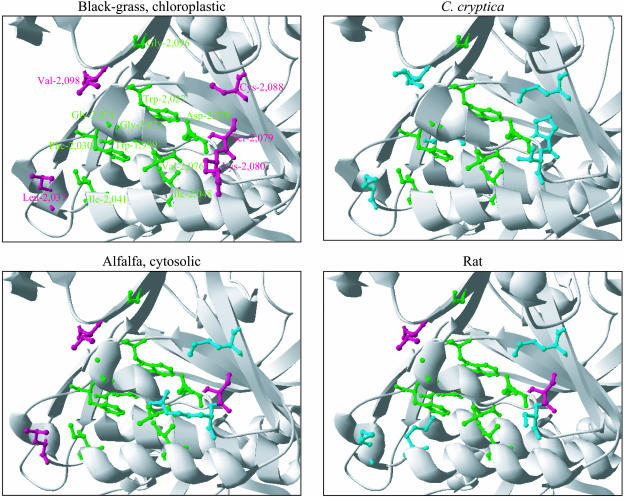 Figure 3.