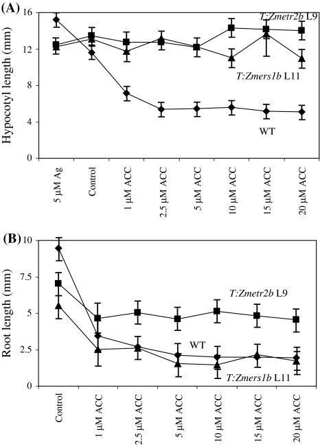 Fig. 6