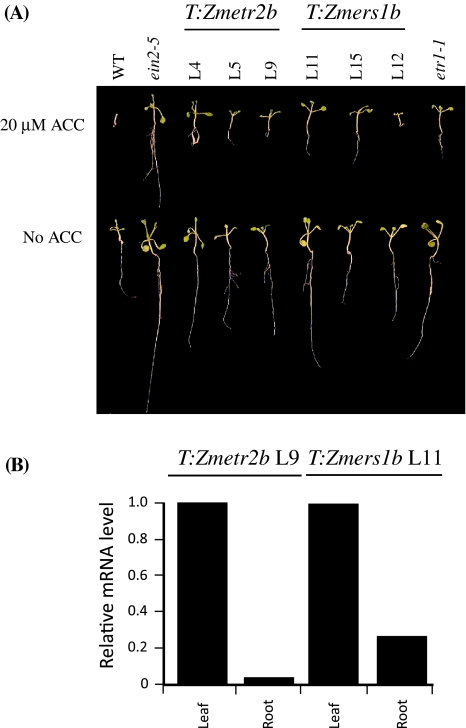 Fig. 2