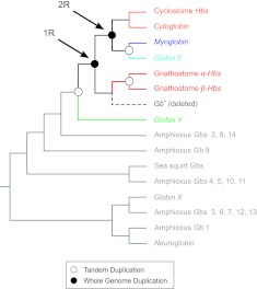 FIG. 5.