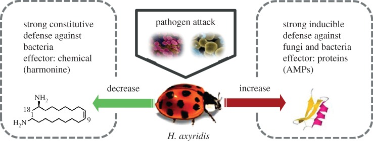 Figure 5.