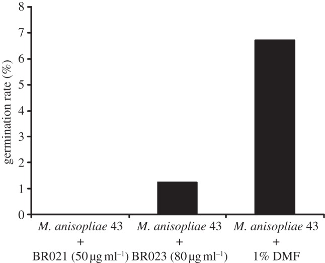 Figure 4.