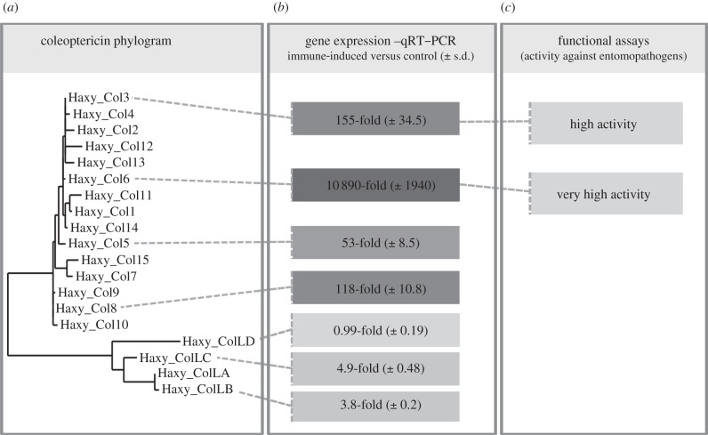 Figure 2.