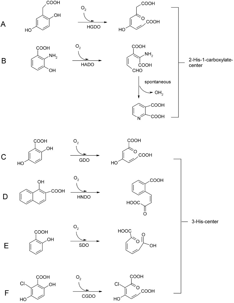 Fig. 16