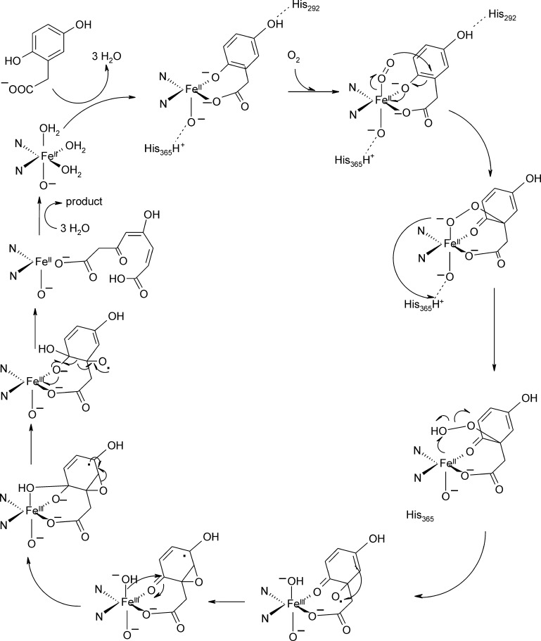 Fig. 20