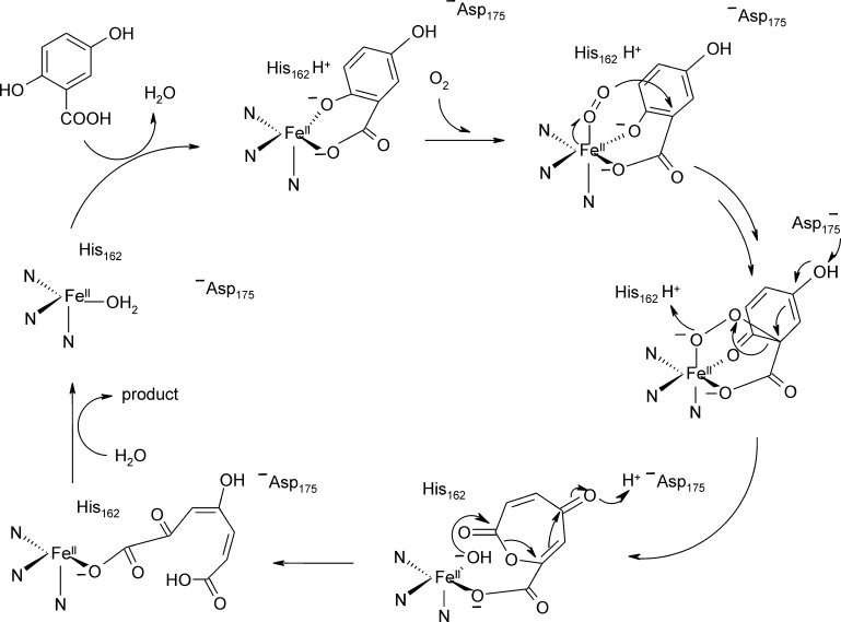 Fig. 17