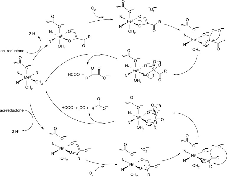 Fig. 24