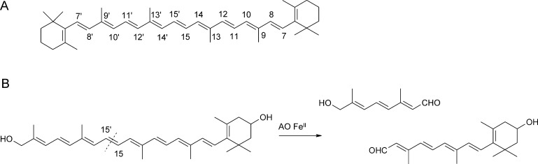 Fig. 27