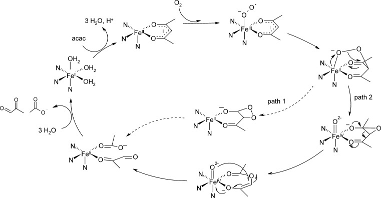 Fig. 14