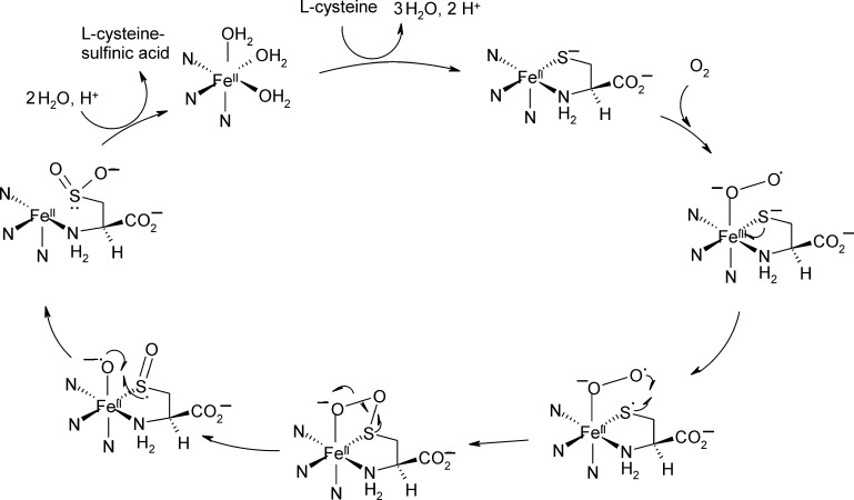 Fig. 9