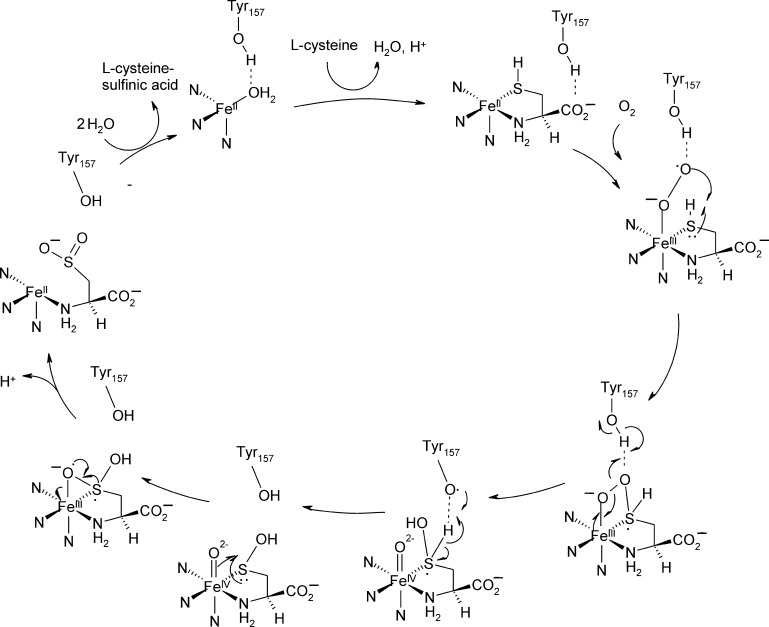 Fig. 10