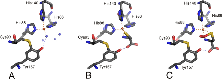 Fig. 8