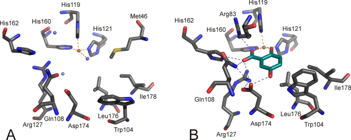 Fig. 19