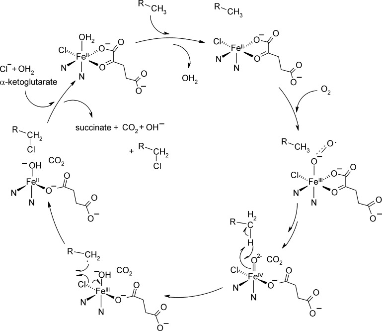 Fig. 6